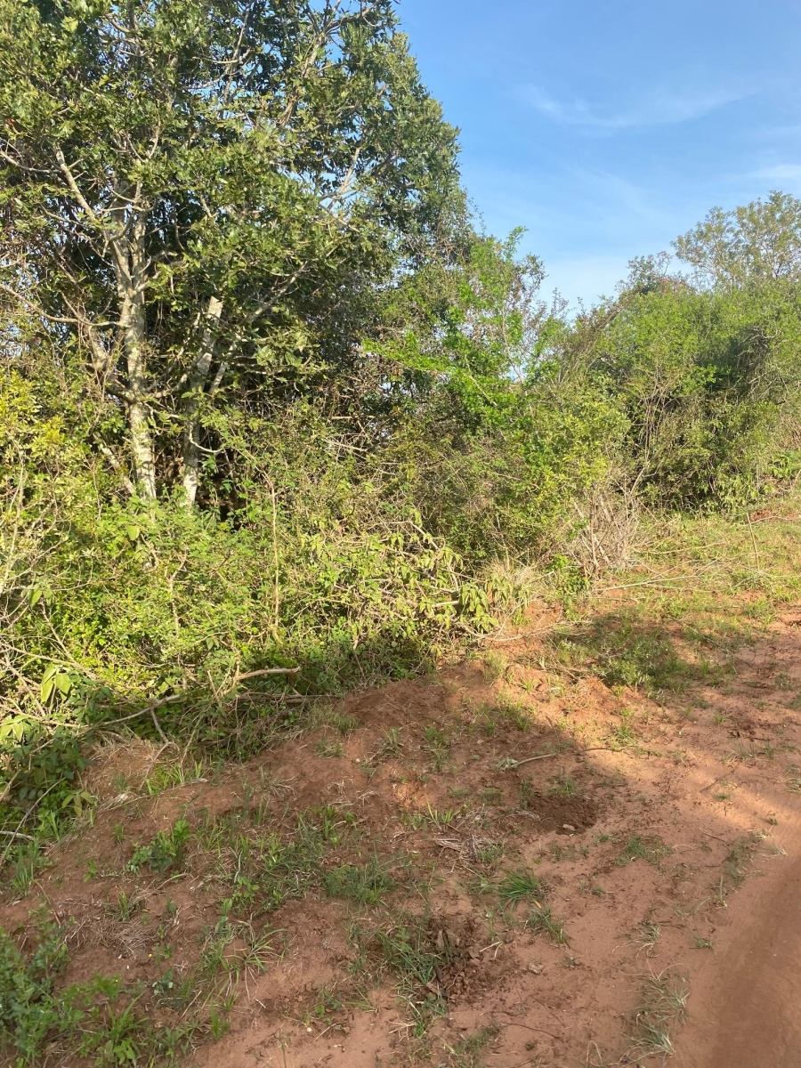 0 Bedroom Property for Sale in Bathurst Eastern Cape